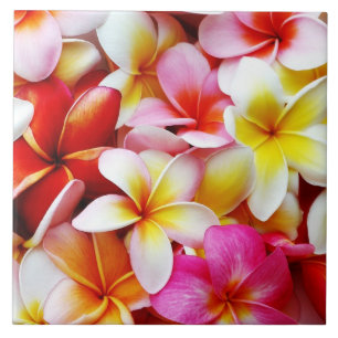 Carreau Fleur d'Hawaï de Frangipani de Plumeria customis