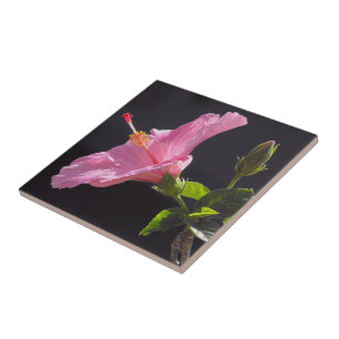 Carreau Fleur d'Hibiscus de Profil