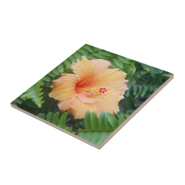 Carreau Fleur d'Hibiscus Orange avec Fougères (Côté)