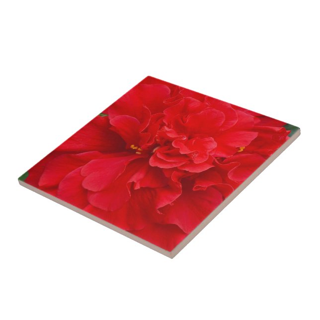 Carreau Fleur d'hibiscus rouge (Côté)