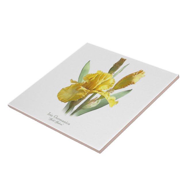 Carreau Fleur d'Iris Jaune Art Botanique de Style (Côté)