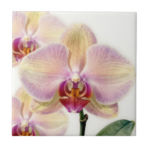 Carreau Fleur d'orchidée violette pastel élégante
