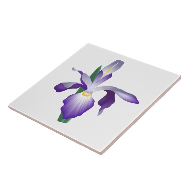 Carreau Fleur Iris (Côté)