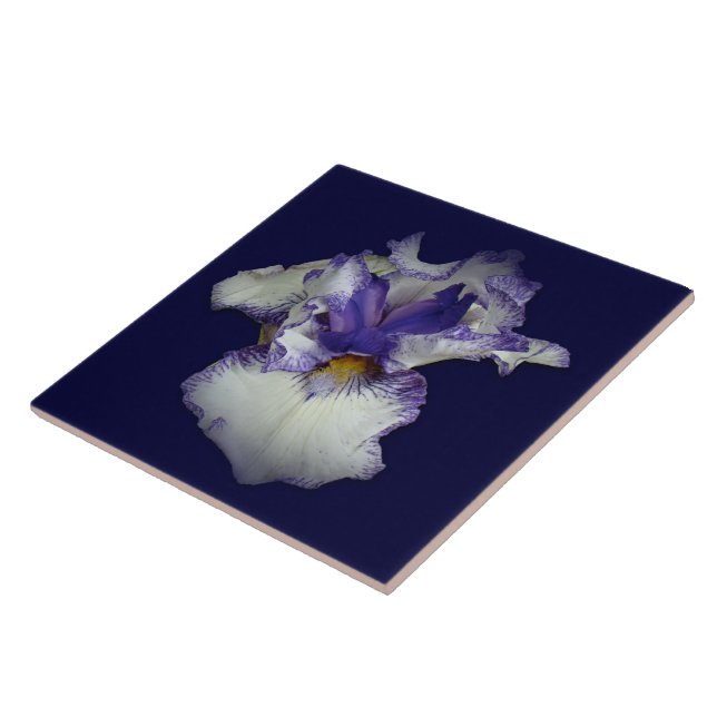Carreau Fleur Iris à fond bleu et blanc (Côté)