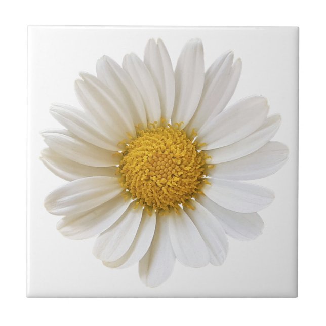 Carreau Fleur marguerite blanche sur Arrière - plan blanc (Devant)