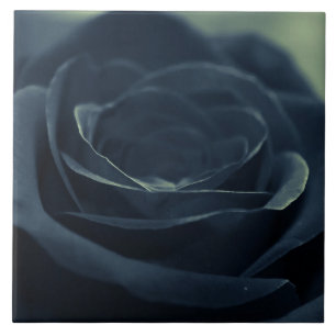 Carreau Fleur noire Rose Vibe gothique foncé