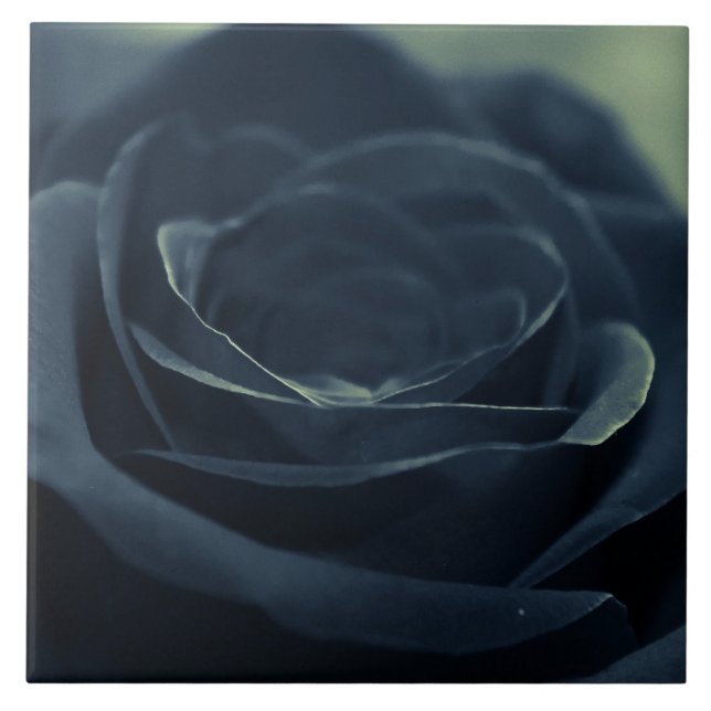 Carreau Fleur noire Rose Vibe gothique foncé (Devant)
