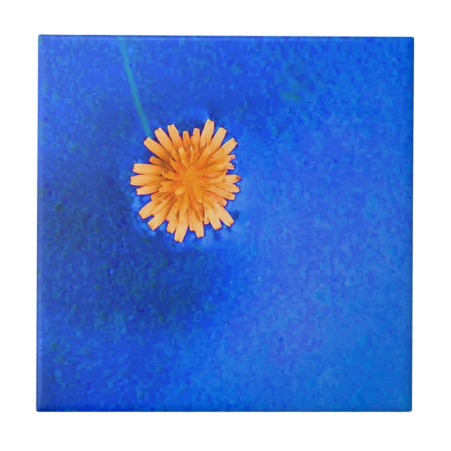 Carreau Fleur orange solitaire (Devant)