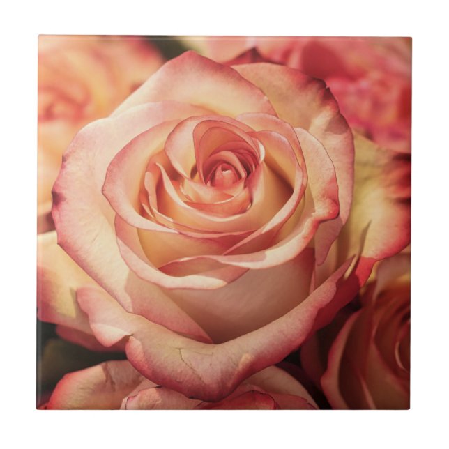 Carreau Fleur Rose de pêche (Devant)