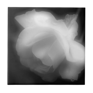 Carreau Fleur rose En Noir Et Blanc