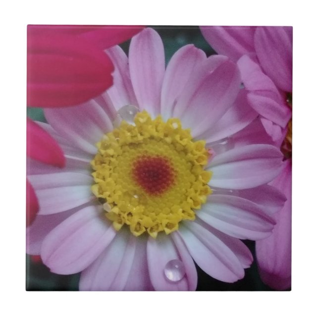 Carreau Fleur rose et jaune (Devant)