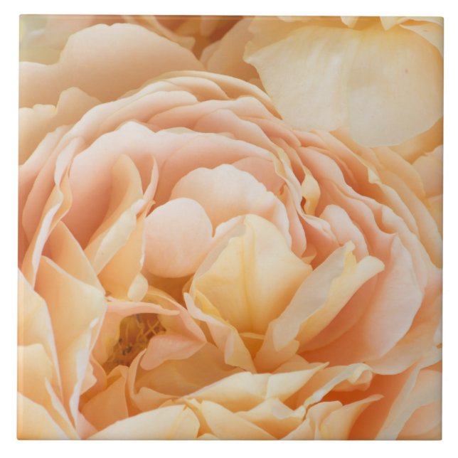 Carreau Fleur rose jaune (Devant)