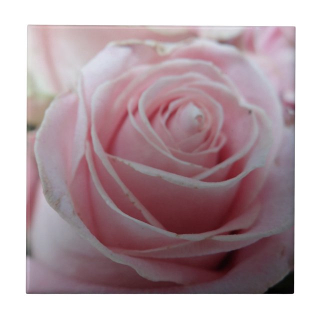 Carreau Fleur Rose mignonne (Devant)