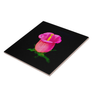 Carreau Fleur rose sur Noir