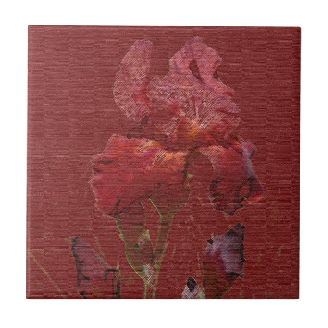 Carreau Fleur rouge de jardin d'iris de Bourgogne (Devant)