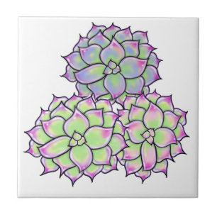 Carreau Fleur Succulente