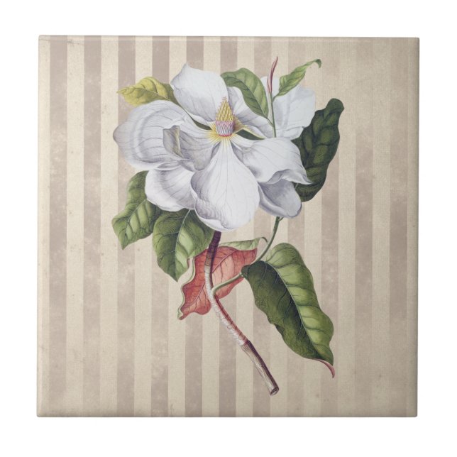 Carreau Fleur vintage de Magnolia sur bandes (Devant)