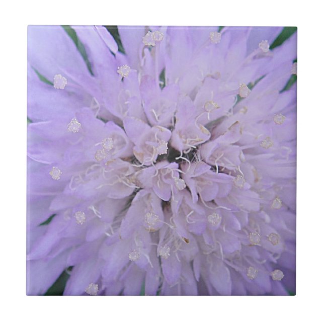 Carreau Fleur violette (Devant)