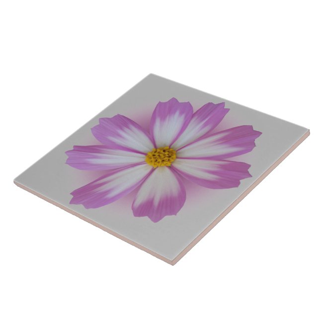 Carreau Fleur violette claire (Côté)
