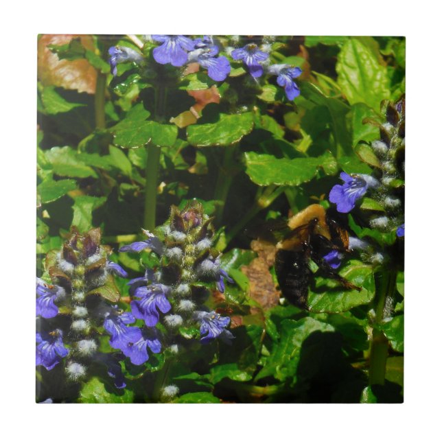 Carreau Fleur violette et abeille boursouflante (Devant)