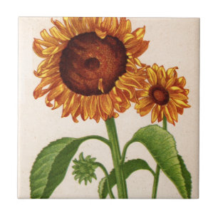 Carreau fleurs