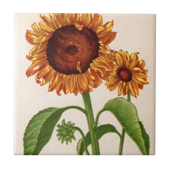 Carreau fleurs (Devant)