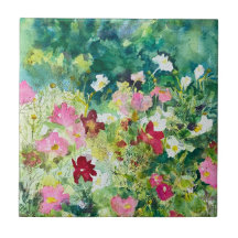Fleurs Cosmos Artistiques Printemps