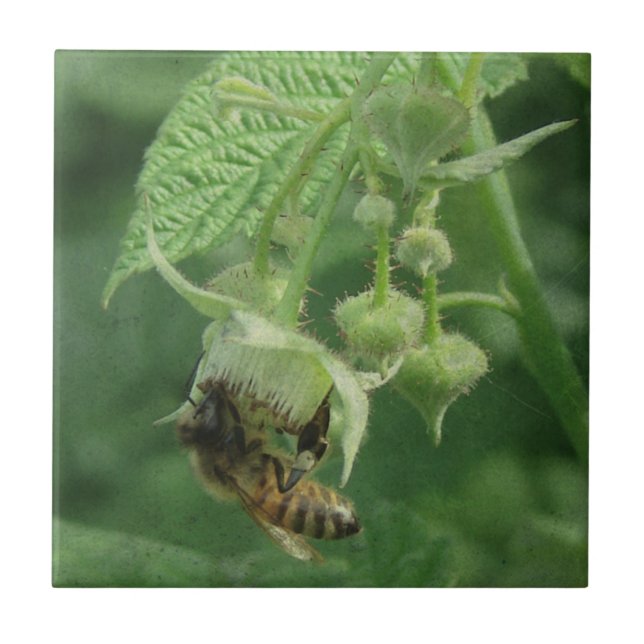 Carreau Fleurs d'abeilles et de framboises (Devant)