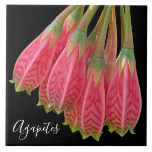 Carreau Fleurs d'agapètes rouges sur floral noir