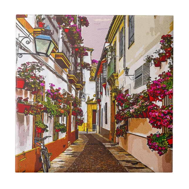 Carreau Fleurs dans la rue. Cordoue, Andalousie, Espagne. (Devant)