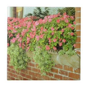 Carreau Fleurs de boîte de fenêtre