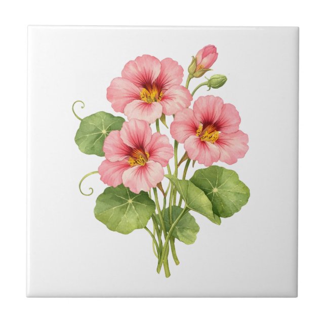 Carreau Fleurs de capucine rose à l'aquarelle  (Devant)