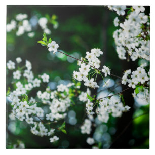 Carreau Fleurs de cerisiers blancs Feuilles verts