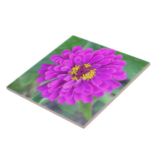 CARREAU FLEURS DE COULEUR FUCHSIA