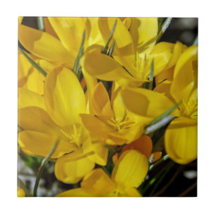 Carreau Fleurs de Crocus Jaune