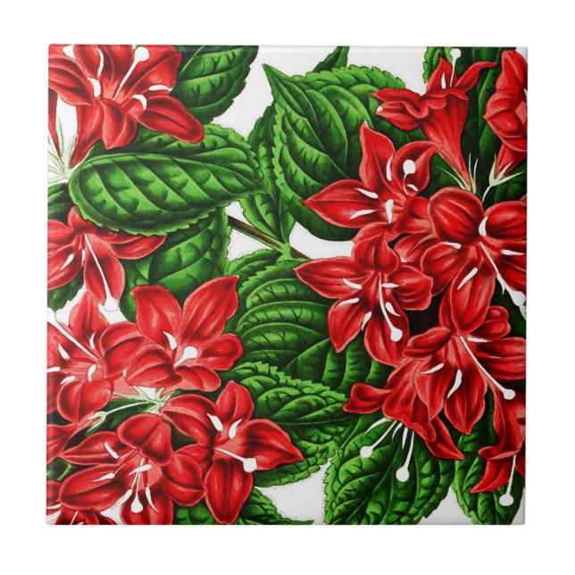 Carreau Fleurs de gingembre rouge, imprimé vintage (Devant)