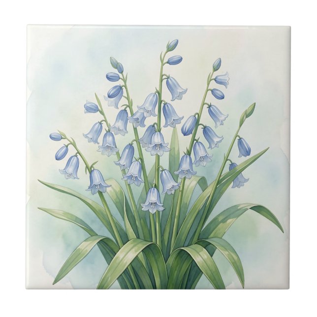 Carreau Fleurs de Jacinthe Botanique Aquarelle (Devant)