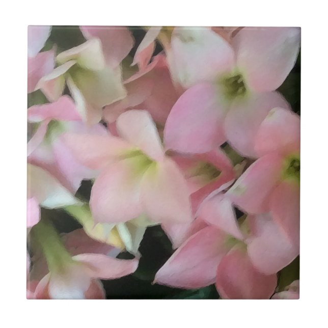 Carreau Fleurs de Kalanchoe (Devant)