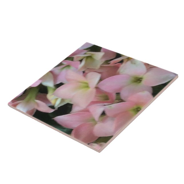 Carreau Fleurs de Kalanchoe (Côté)