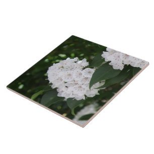 Carreau Fleurs de lauriers de la montagne blanche