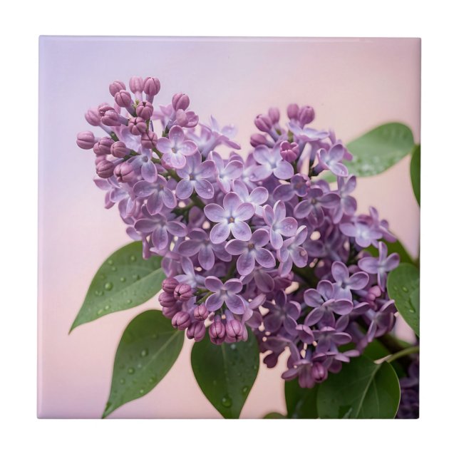 Carreau Fleurs de lilas violet frais Floral de printemps  (Devant)