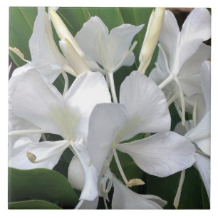 Carreau Fleurs de lis de gingembre