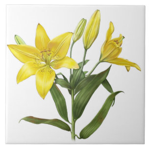Carreau Fleurs de lys oriental jaune Art botanique