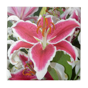Carreau Fleurs de lys stargazers roses
