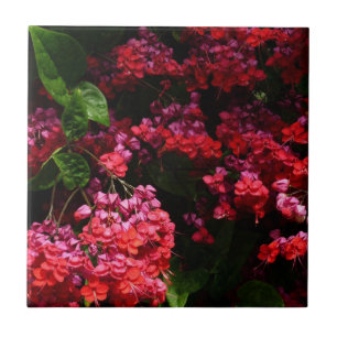 Carreau Fleurs de pagode colorées rouge et rose