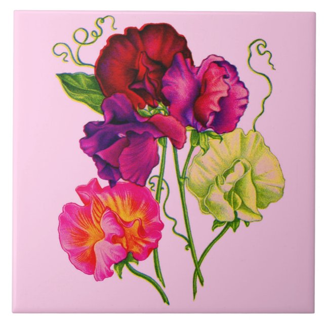 Carreau fleurs de pois doux en violet et rose (Devant)