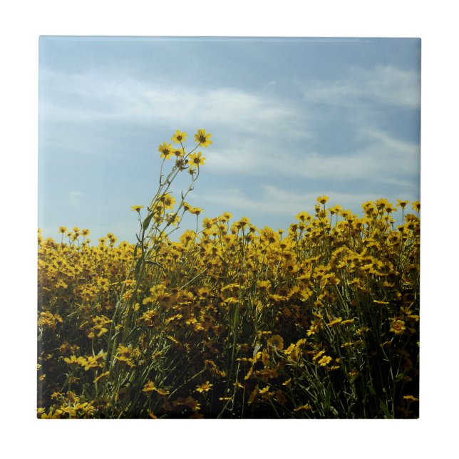 Carreau Fleurs de soleil fleurs sauvages (Devant)