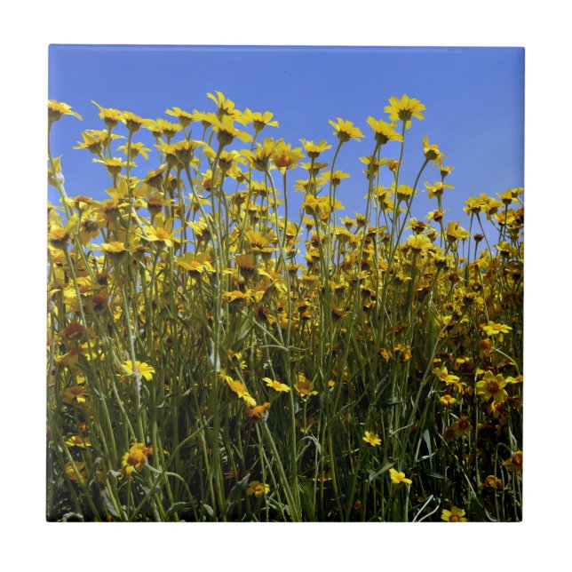 Carreau Fleurs de soleil fleurs sauvages (Devant)