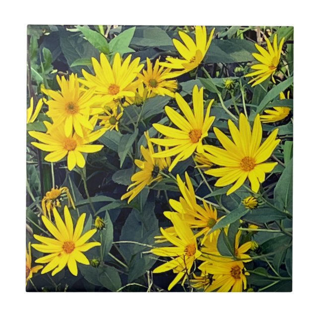 Carreau Fleurs de topinambour (Devant)