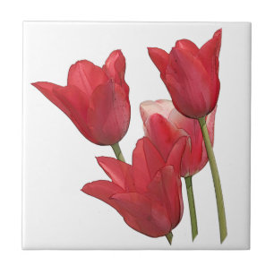Carreau Fleurs de tulipes rouges